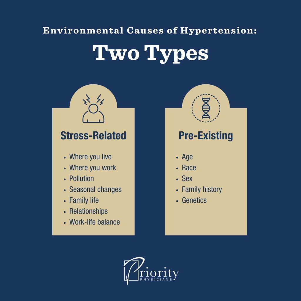 Infographic: Environmental Causes of High Blood Pressure (Hypertension)
