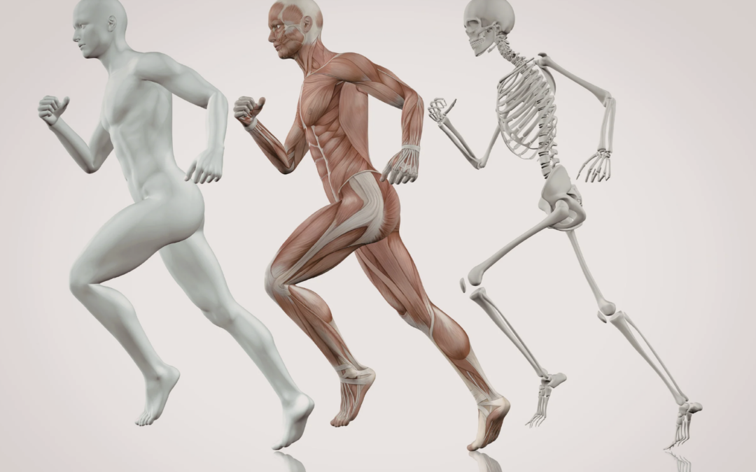 LONGEVITY PLUS: Movement