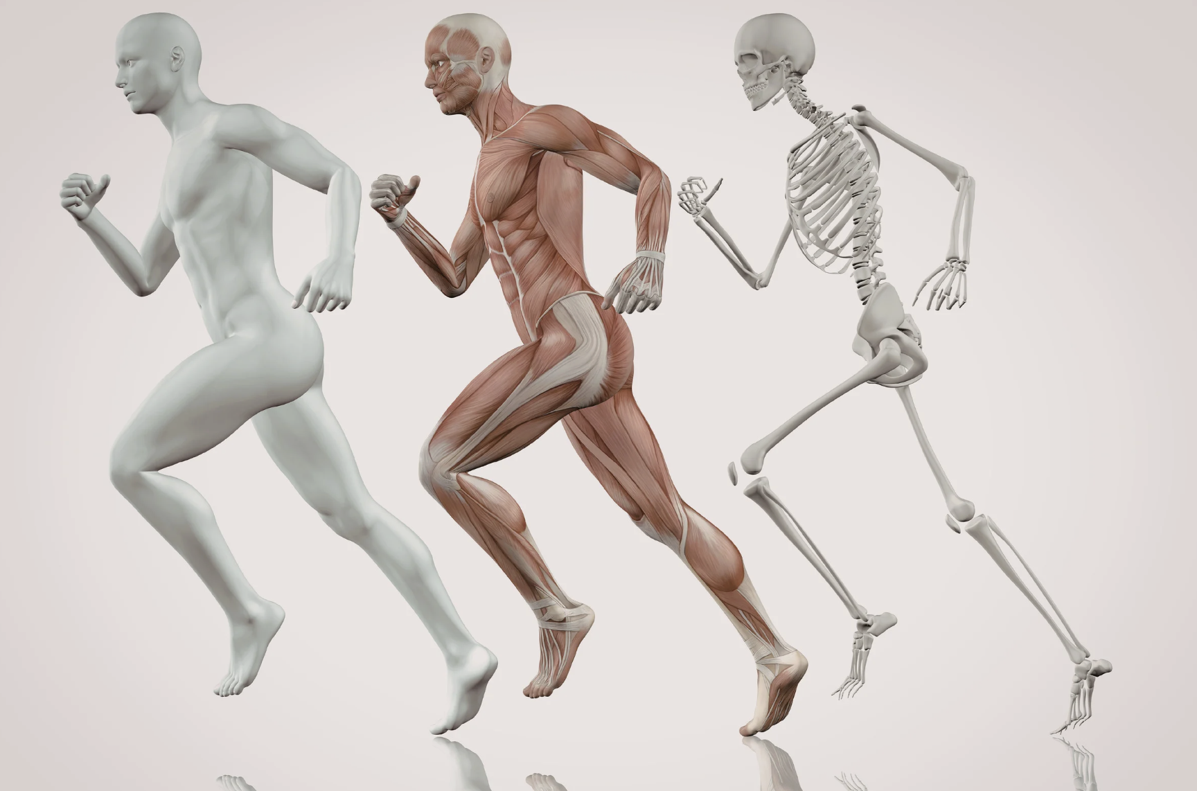 LONGEVITY PLUS: Movement