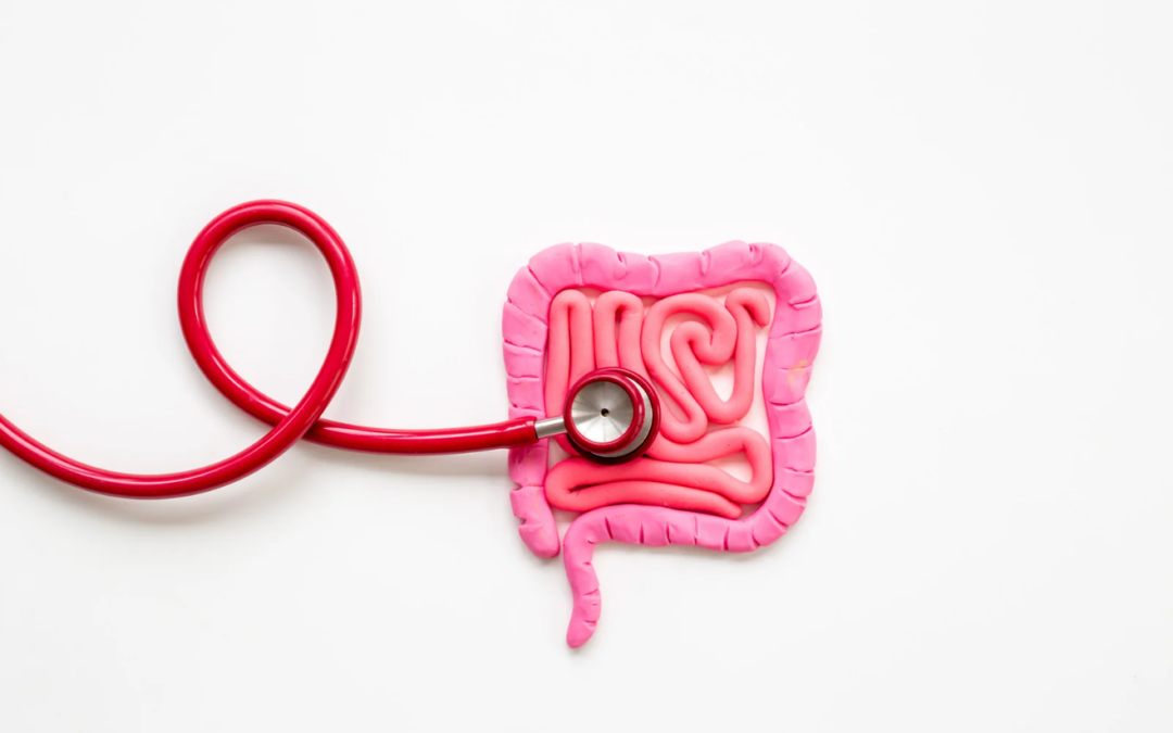 The Gut Microbiome: A New Window into Your Health