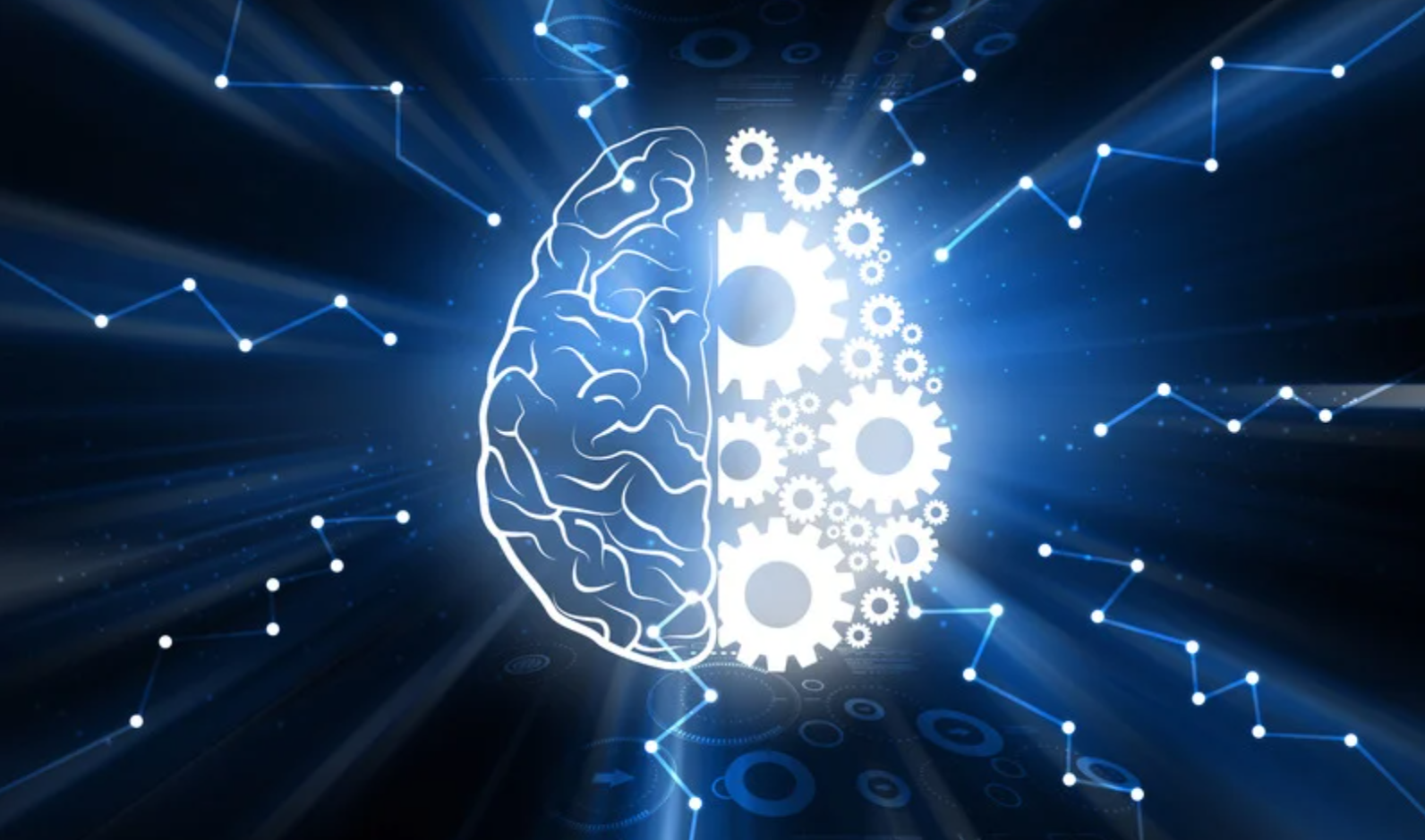A Closer Look at Your Brain Health: BrainKey and Creyos